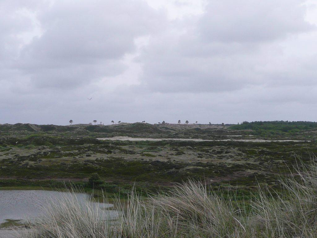 Monument for a transforming landscape, Terschelling