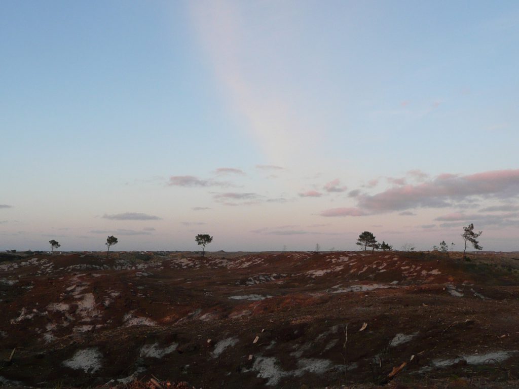 Monument for a transforming landscape, Terschelling
