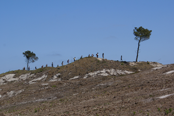 Monument for a transforming landscape, Terschelling