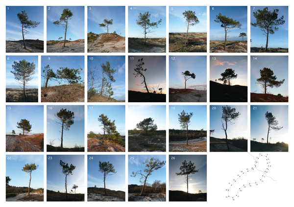 Monument for a transforming landscape, Terschelling